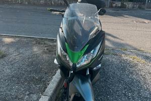 KAWASAKI J300