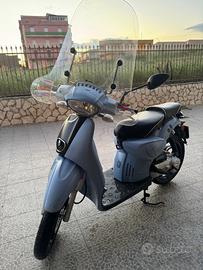 Motorino 50