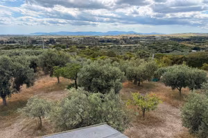 Terreno agricolo con uliveto