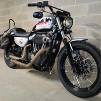 Harley Davidson Sportster Nighster XL1200N