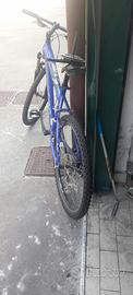 Bicicletta