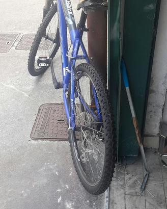 Bicicletta