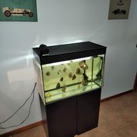 Aquario Ciano Emotion 100