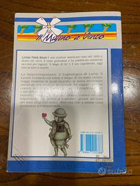 Libro di lettura per ragazzi "Il Mago di Oz"