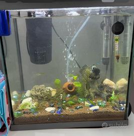 Acquario tetra 30 litri