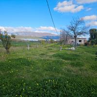 Terreno agricolo con rudere