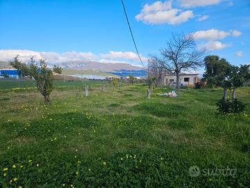 Terreno agricolo con rudere