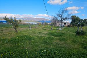 Terreno agricolo con rudere