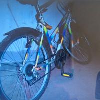  mountain bike 