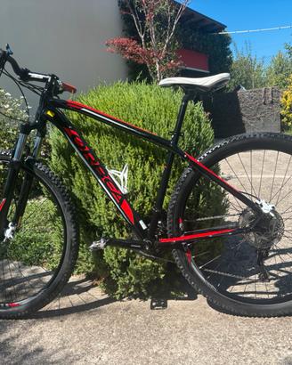 MTB Orbea MX 29 20