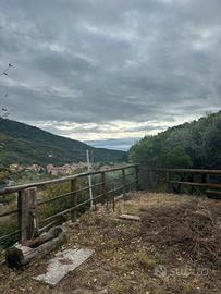 Terreno coltivabile con magazzino agricolo