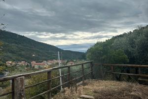 Terreno coltivabile con magazzino agricolo