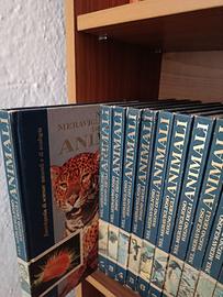 Enciclopedia Nel meraviglioso regno degli animali
