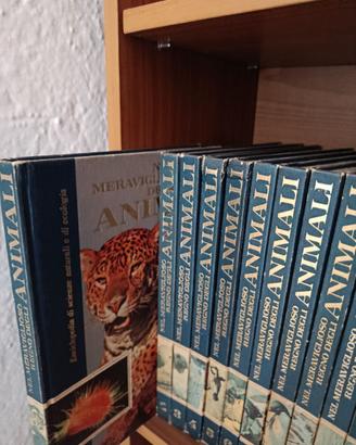 Enciclopedia Nel meraviglioso regno degli animali
