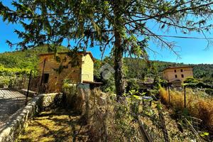 BOX A SPOLETO