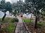 Immagine 28