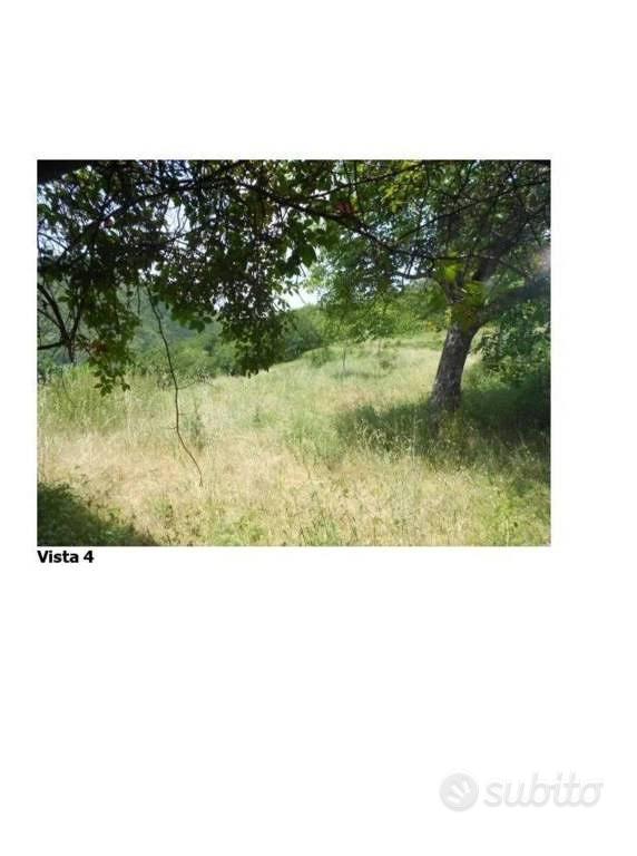 Immobile in asta di 486370 m² a Borgo San Lorenzo - Vista 3