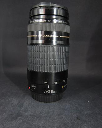 Canon EF 75-300mm f/4-5.6 USM