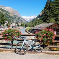 Specialized Diverge carbon