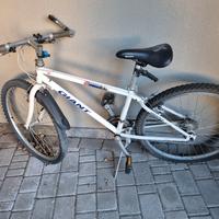 bicicletta da rifare