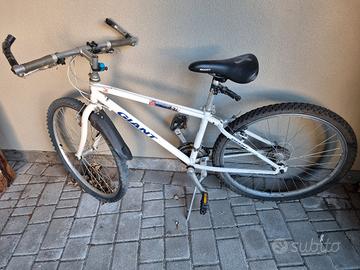 bicicletta da rifare