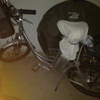 Bicicletta pedalata assistita