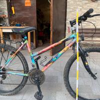 Mountain bike da ragazza