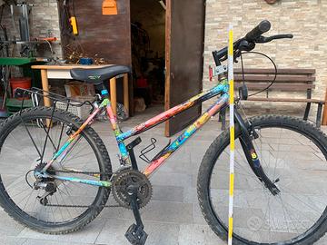 Mountain bike da ragazza