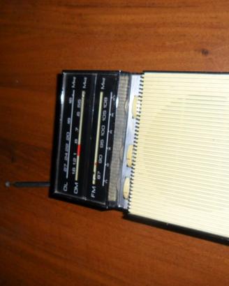 radio portatile