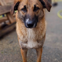 Bea: 11 mesi, dolce e intelligente