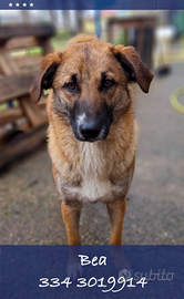 Bea: 11 mesi, dolce e intelligente