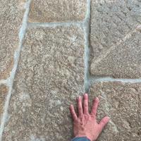 Pietra Milano Antica Originale