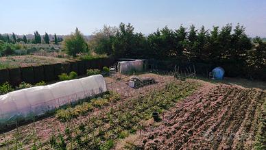 Terreno Agricolo vicino al mare