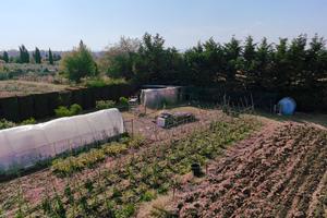 Terreno Agricolo vicino al mare