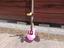 Immagine 1