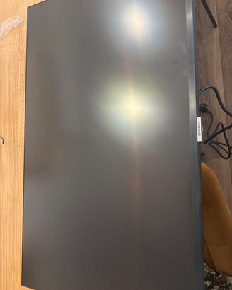 Schermo Pc 32”