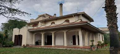 Villa con uliveto, Monteprandone (AP)