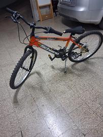 Bici Schiano 