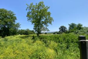 TER. AGRICOLO A SAN CESAREO