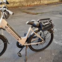 Biciclette elettrica 