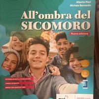 Libro Liceo "All'ombra del Sicomoro"