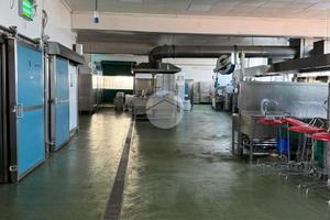 CAPANNONE A AZZANO SAN PAOLO