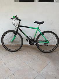 Mountain bike vintage