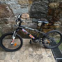 Bicicletta bimbo