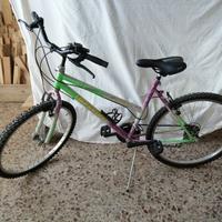Mtb 26 pollici