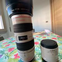 Canon. 70-200 f2.8 IS