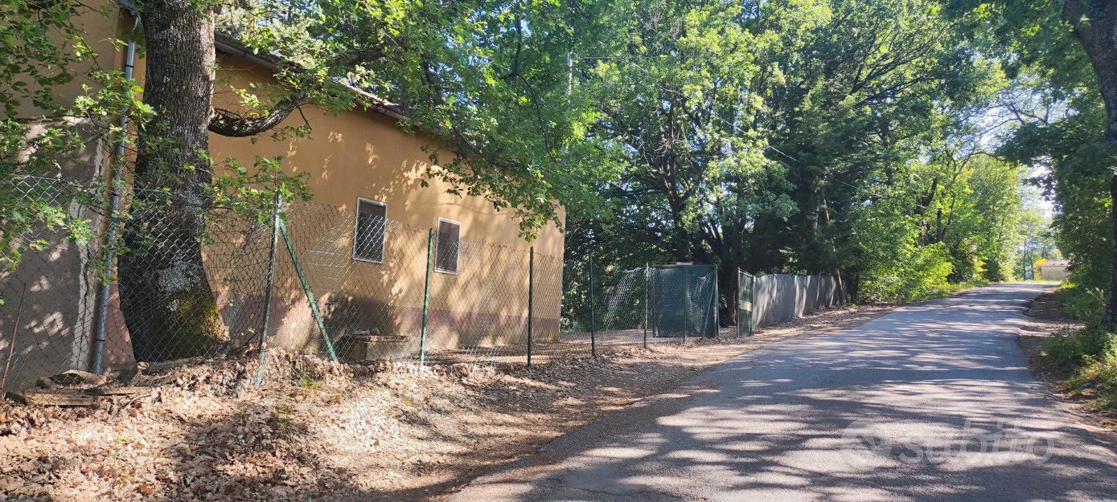 Terreno con fabbricato a Mirabello S. (CB) - Vista 2