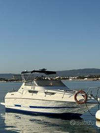Acquaviva Leader II