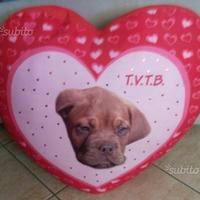 Cuscino a forma di cuore con scritta T.V.T.B