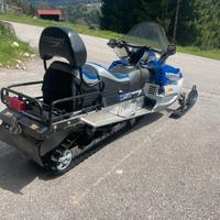 Motoslitta turbo arctic cat bearcat